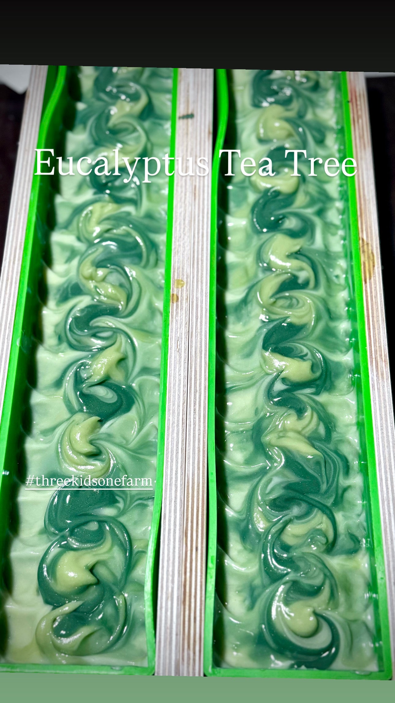 Eucalyptus Tea tree