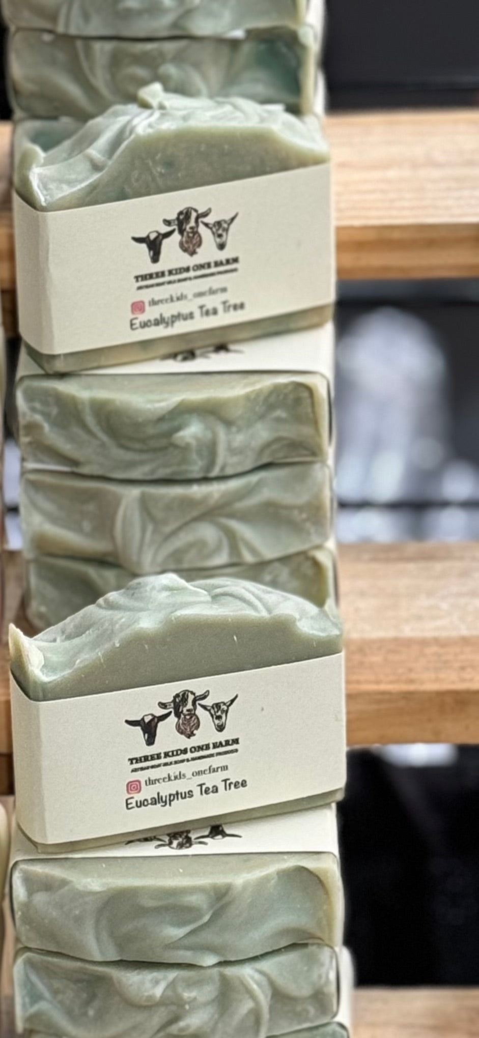 Eucalyptus Tea tree