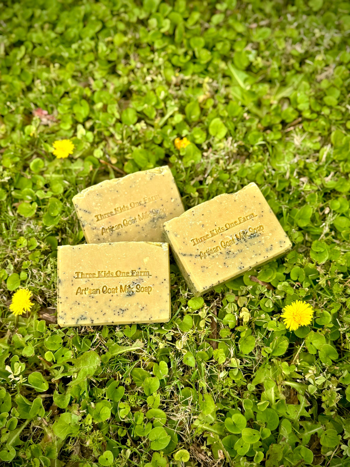 Blackberry Green Tea Goat Milk Soap