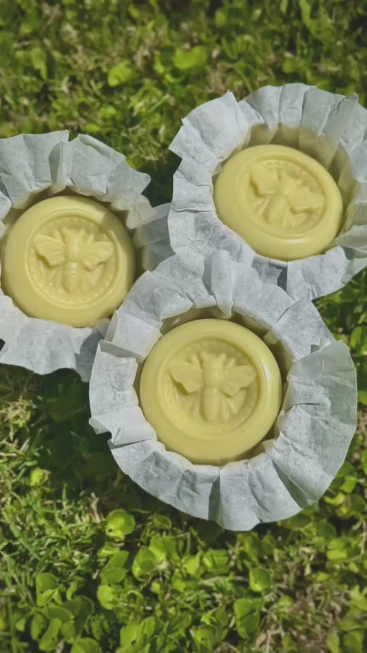 Raw Honey & Tallow Lotion Bar